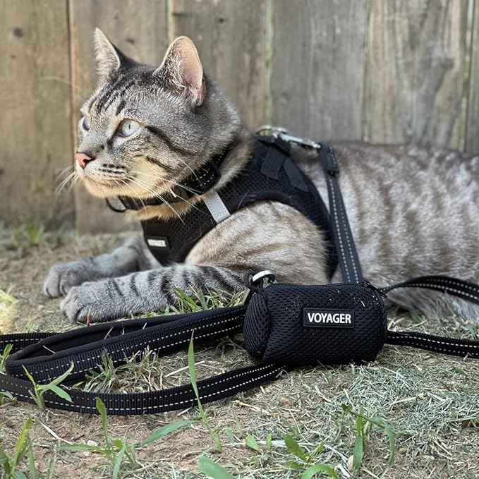 Best Pet Supplies Voyager Step-in Air All Weather Mesh Harness and Reflective Dog 5ft Leash Combo with Neoprene Handle, for Small, Medium and Large Breed Puppies - Set (Black), X-Large