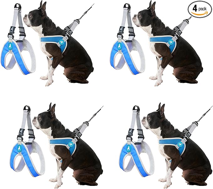 Gooby Simple Step III Harness - Blue, Small - Dog Harness with Scratch Resistant Outer Vest - Soft Inner Mesh for Small, Medium Dogs (Pack of 4)
