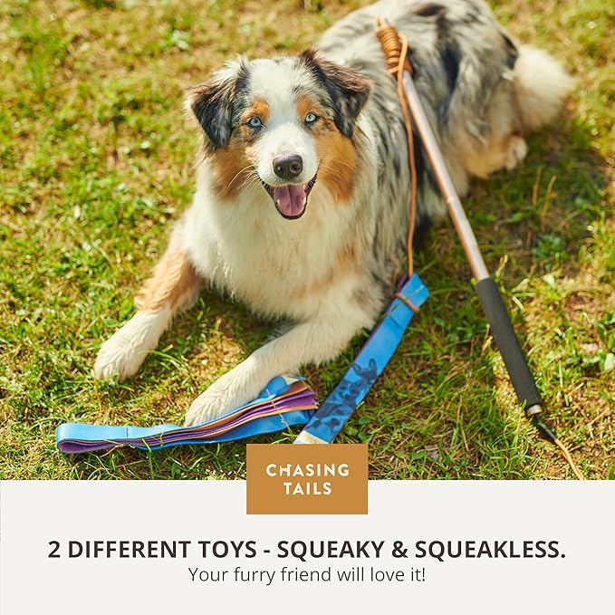 Chasing Tails Flirt Pole for Dogs Heavy Duty - 36 Inch Flirt Pole for Large Dogs with Extendable 83 Inch Rope | Two Toys Included | Suitable for All Breeds | Pets Play Equipment