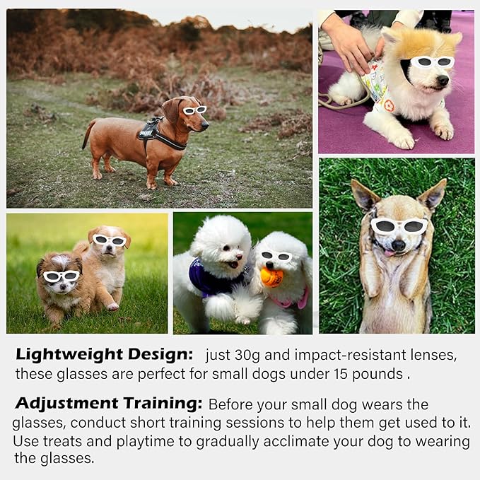 Dog Goggles Small Breed, UV/Wind/Dust/Fog Protection Pet Sunglasses with Adjustable Strap,Outdoor Dog Sunglasses for Small Dogs,Easy Wear