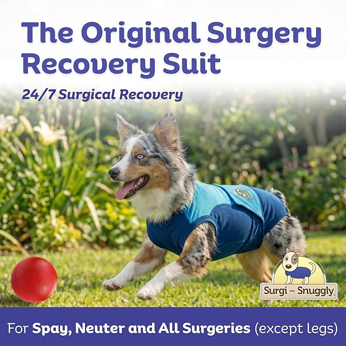 Surgi Snuggly Dog Surgery Recovery Suit - Dog Onesie for Post Surgery Recovery, Female Spay & Male Neuter - Surgical Suit for Dogs, E-Collar Cone Alternative, Double Blue - Large Short - 16"-20" (EC)