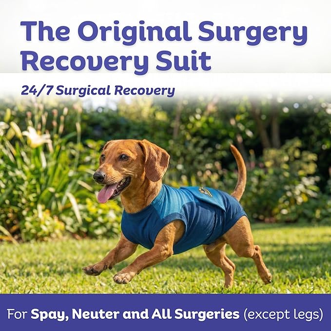 Surgi Snuggly Dog Surgery Recovery Suit - Dog Onesie for Post Surgery Recovery, Female Spay & Male Neuter - Surgical Suit for Dogs, E-Collar Cone Alternative, Double Blue - Small - 10" - 13" (EC)