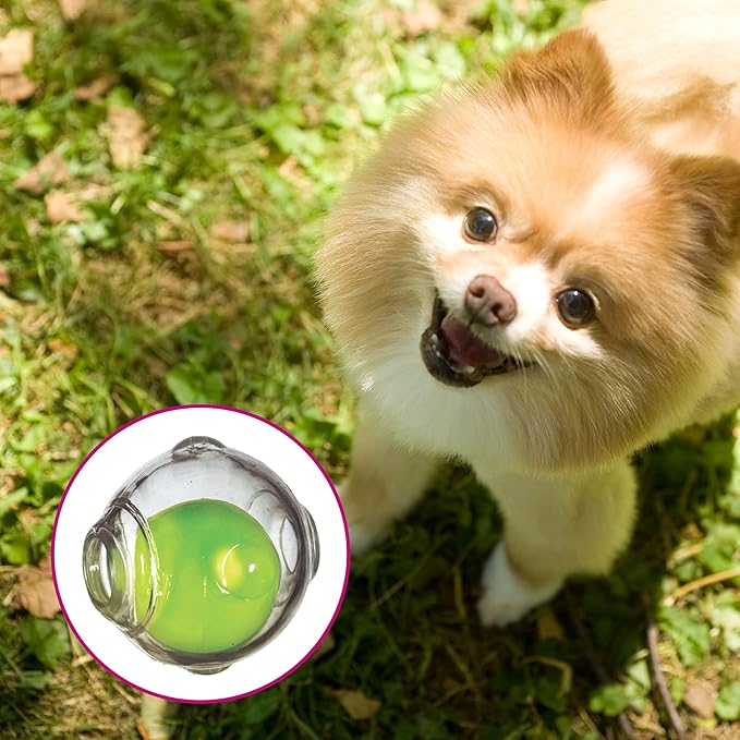 Chase 'n Chomp Amazing Squeaker Ball Toy for Pets (Clear)