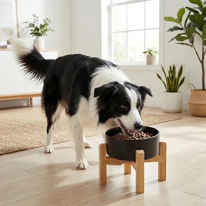 hjn Elevated Ceramic Dog Bowl 15°Slanted Raised Dog Bowl with Bamboo Stand for Small Medium Dogs and Cats, Pet Feeder -7.6-Cup (1800ml)-Black