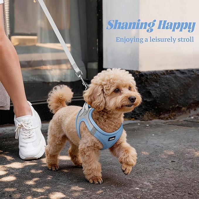 YIMEIS Dog Harness and Leash Set, No Pull Soft Mesh Pet Harness, Reflective Adjustable Puppy Vest for Small Medium Large Dogs, Cats (Greyblue, Small (Pack of 1))