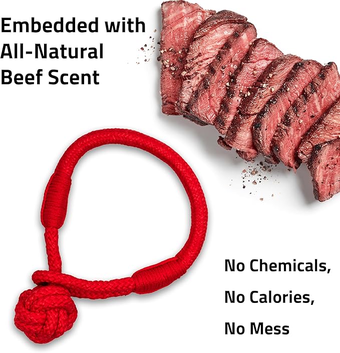 Playology Dog Toys | Tough Tug Knot for Puppies and Young Dogs | Beef Scented Medium Chew Toy Tug Rope | Tug of War Puppy Essentials