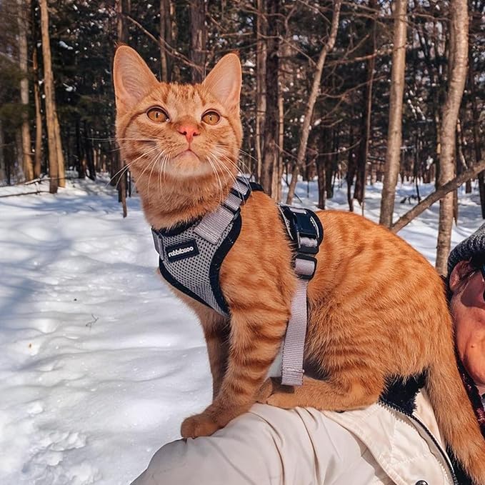 rabbitgoo Cat Harness and Leash Set, Escape Proof Kitten Harness for Safe Outdoor Walks, Soft Breathable Adjustable Vest with Reflective Strips for Kittens and Small Cats, Grey, XS