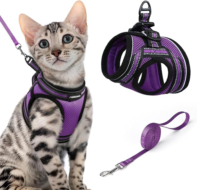 rabbitgoo Cat Harness and Leash, Step-in Escape Proof Kitten Harness Set, Soft Comfortable Cat Vest, Easy to Wear and Adjust, Reflective for Safe Outdoor Walking, Purple, X-Large