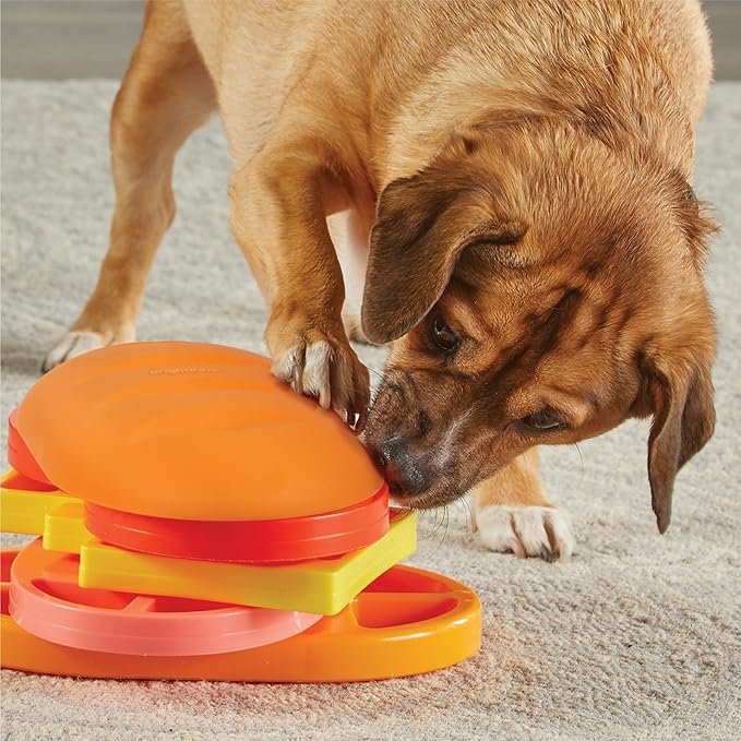 Brightkins Pupstrami Surprise! Treat Puzzle - Dog Puzzle Toys, Interactive Dog Toys, Gifts for Dogs