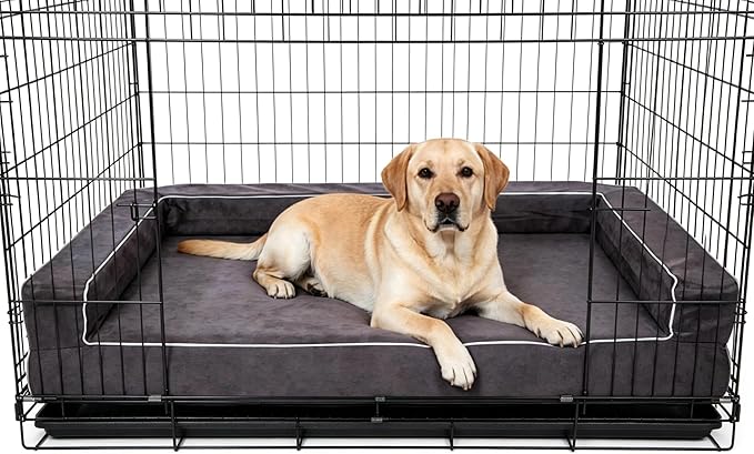 Orthopedic Dog Bed Large - 5" Solid Memory Foam Pet Bed for Arthritis Relief & Hip Dysplasia - Bolster Style with YKK Zippered Waterproof Washable Cover & Bottom for Senior Dogs 60-120lbs