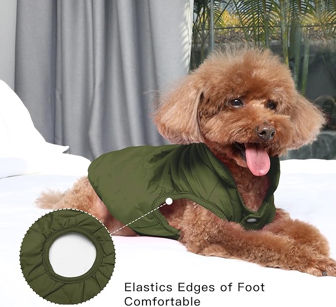 JoyDaog 2 Layers Fleece Lined Warm Dog Jacket for Puppy Winter Cold Weather,Soft Windproof Small Dog Coat,Green M