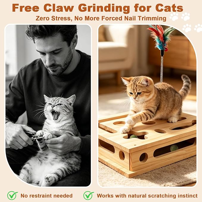 Cat Nail File Scratcher with Sandpaper Stress-Free Alternative to Trimming Nails, 2026 New Cat Scratch Puzzle Enrichment Box, Advanced Claw Saver Box for Cats with 1 Teaser Wand and 2 Catnip Balls