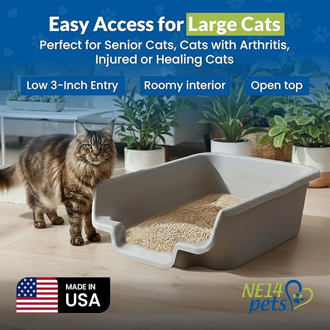 KittyGoHere Senior Cat Litter Box, Jumbo Litter pan, Open Top Low Entrance Kitty Litter Box, Lightweight Low Entry Litters Box, Durable, Made in USA (2 Pack - Misty Gray)
