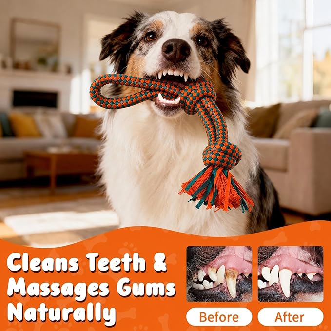 Interactive Dog Rope Toy for Large & Medium Dogs Durable Tug of War Toy for Training, Boredom Relief & Teeth Cleaning, Safe Ultra-Fiber Chew Toy for Daily Play (Small)