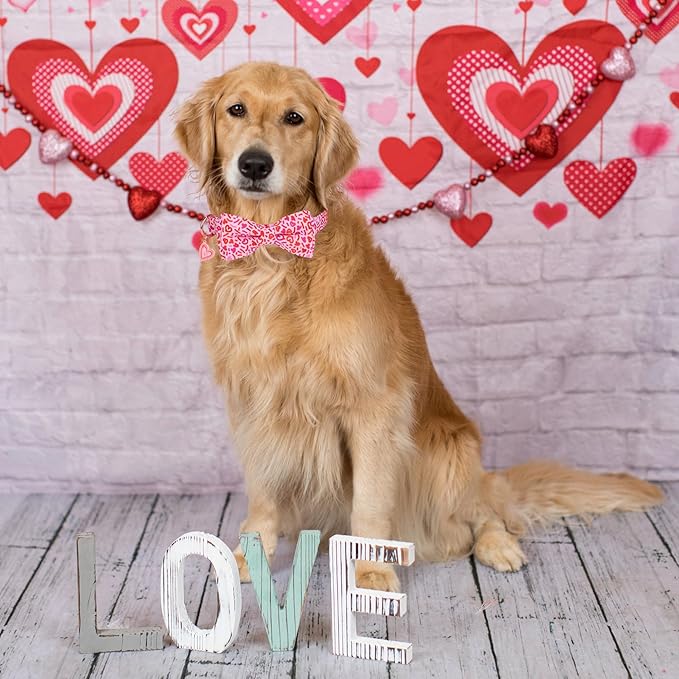 ADOGGYGO Valentine Dog Collar with Bow, Metal Buckle, Adjustable Pink Heart Bowtie Pet Valentine Collars for Medium Large Dogs (Large)
