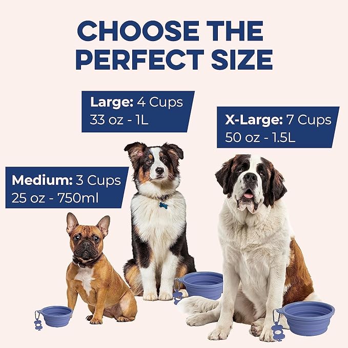 Bonza Collapsible Dog Bowls - 2 Pack, Small 12 oz, Dog Travel Accessories, Silicone Portable Dogs Bowl & Water Dish with Reinforced Rim & Carabiner for Hiking, Camping, and Car Trips, Black