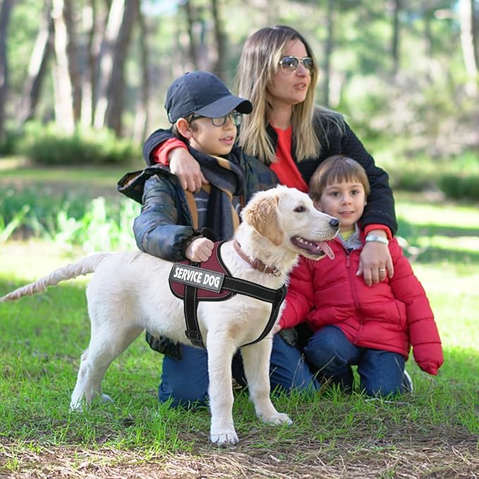 voopet Emotional Support Dog Harness, Professional Service Dog Vest Harness for Small Medium Large Dogs, Reflective Breathable and Adjustable No Pull/Choke ESA Essential Harness