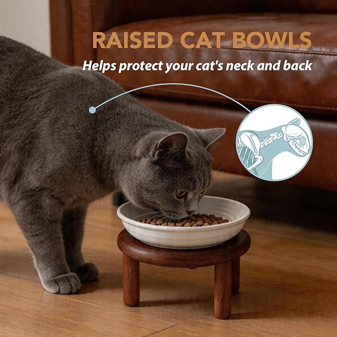 Havniva Elevated Cat Bowls Raised Ceramic Cat Bowl, 5.9” Wide Opening Cat Food Bowl Whisker Friendly Cat Dish Anti-Slip with Wood Stand, Shallow Pet Food & Water Bowl for Indoor Cats