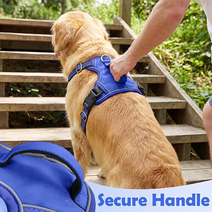 Funfox Dog Harness No Pull, Adjustable Pet Vest Harness, Super Soft Material with Vertical Handle Easy Control, Reflective Night Walking, 2 Leash Clips for Small Sized Dogs, Blue, S