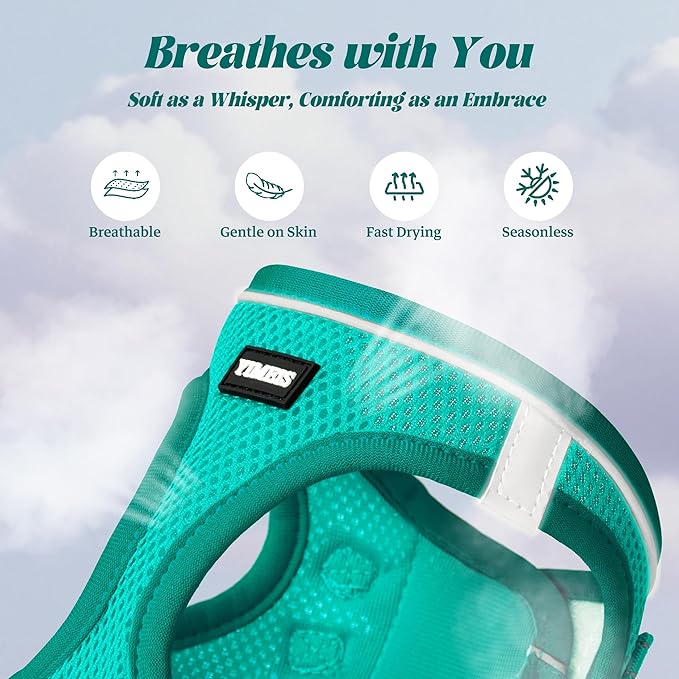 YIMEIS Dog Harness and Leash Set, No Pull Soft Mesh Pet Harness, Reflective Adjustable Puppy Vest for Small Medium Large Dogs, Cats (Turquoise, Small (Pack of 1)