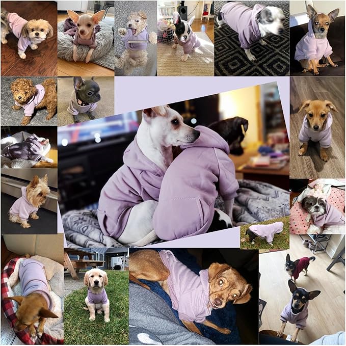 Jecikelon Soft Dog Hoodies for Small Dogs, Fleece Puppy Sweatshirt with Pockets, Warm Winter Cold Weather Coats for Pet Cat, Cute Clothes Puppy Costume (Purple, Medium)