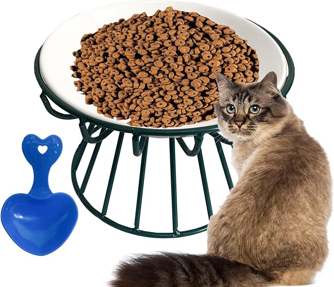 Ceramic Cat Bowls with Metal Stand,Elevated Cat Bowl Raised Kitten Food&Water Feeding Shallow Dish for Indoor Cats,Puppies,Small Dogs(Green)
