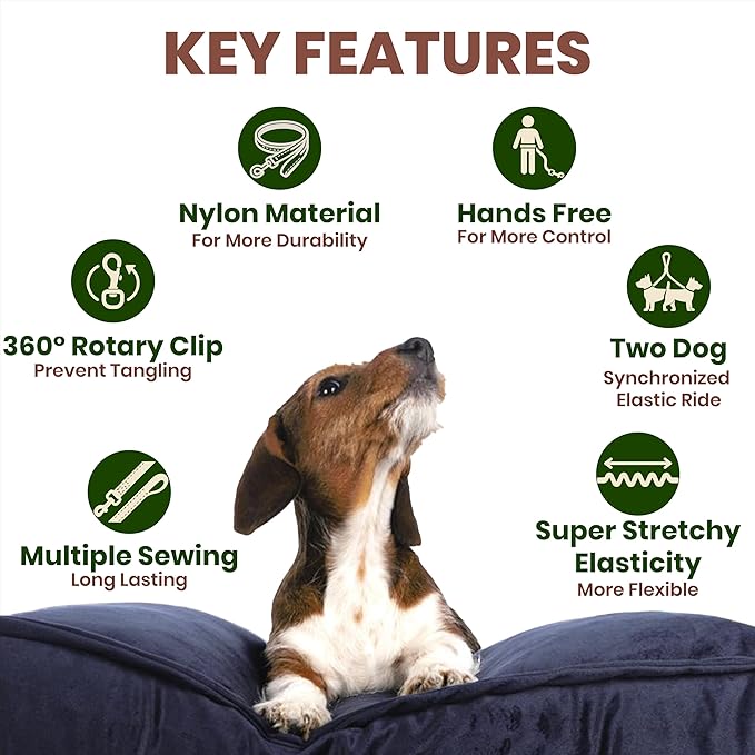 Hands-Free Dog Leash for 2 Dogs - Dual Tangle-Free Running Leash with Shock Absorbing Bungee, Padded Handles, & Waist Belt Pouch - Freedom No Pull Dog Harness Compatible