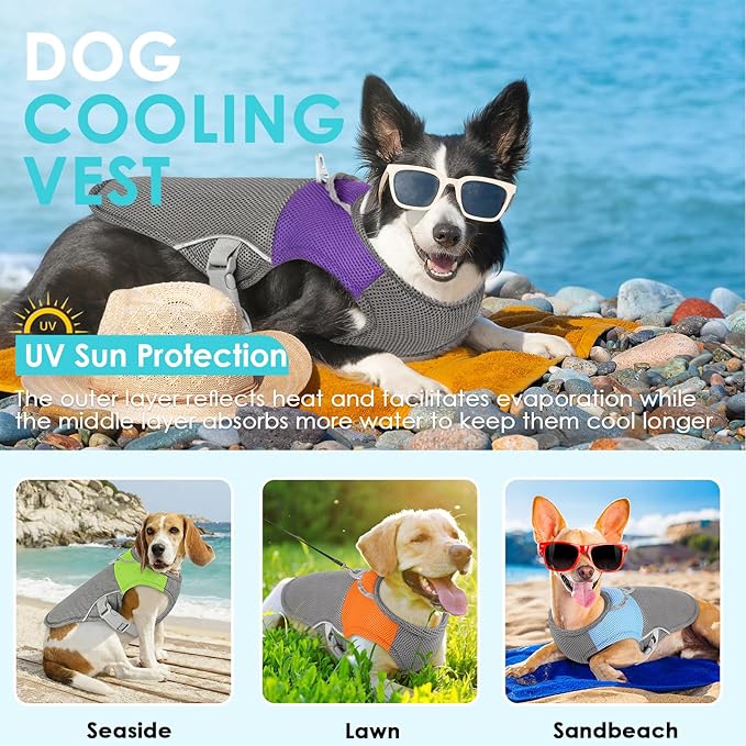 AOFITEE Cooling Vest for Dogs, Breathable Dog Cooling Vest with Harness D-Ring, Dogs UV Protection Shirt Pet Cooler Jacket, Lightweight Dog Sun Shirt for for Summer Hot Weather, Purple L