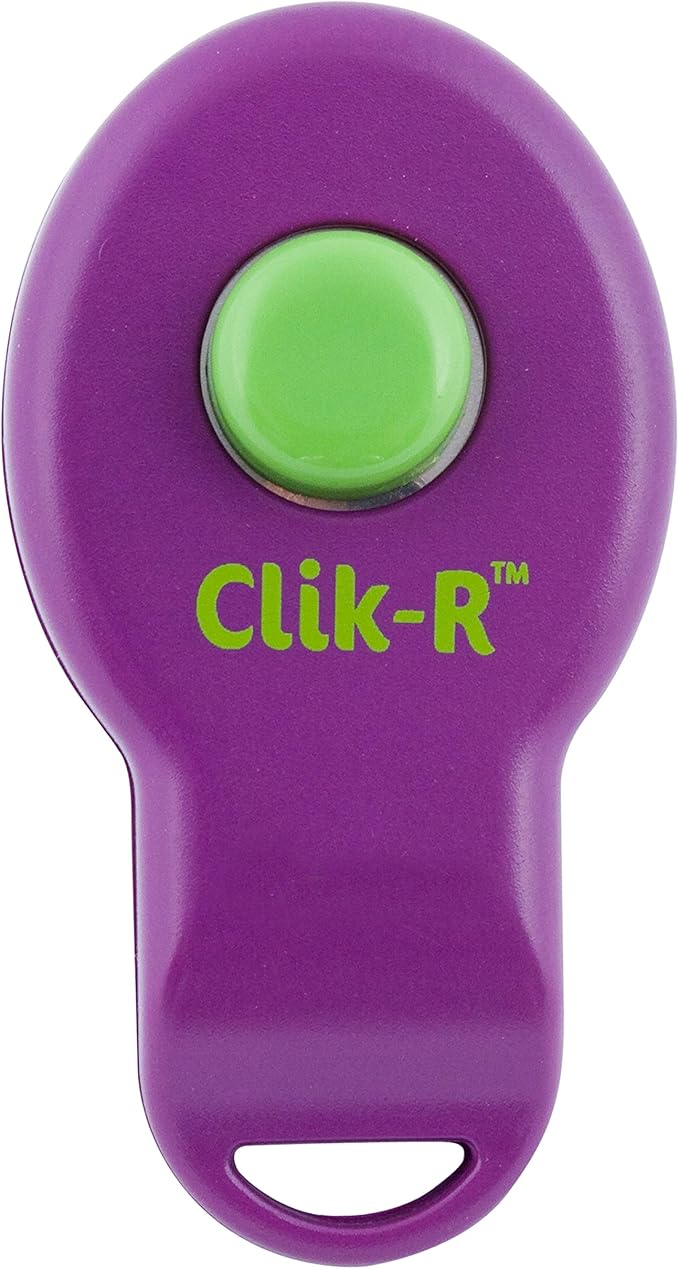 PetSafe Clik-R Trainer, Blues & Purples, Model:CLKR-RTL