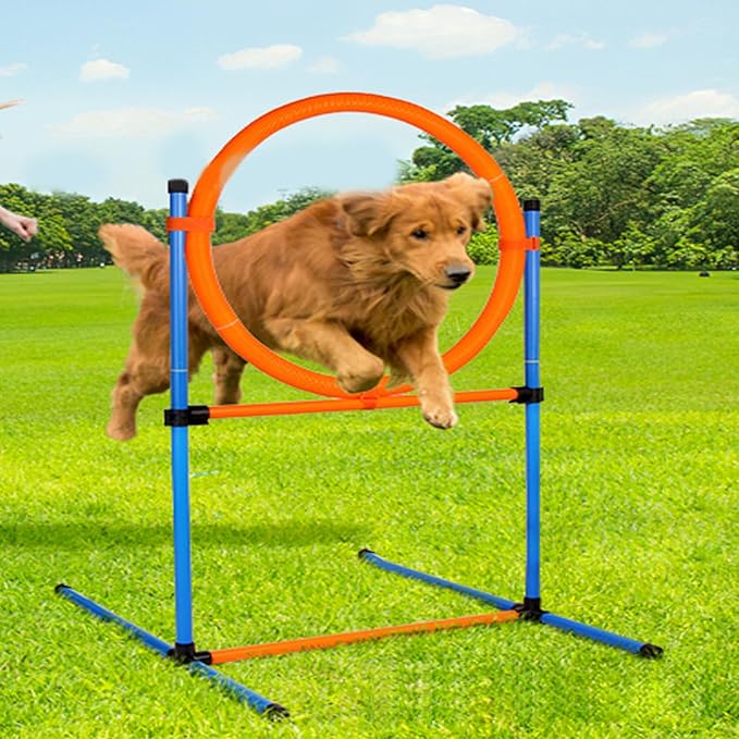 Dog Agility Training Equipment, Dog Obstacle Course Training Starter Kit Pet Outdoor Game with Tunnel, Agility Hurdle, Weave Poles, Jump Ring, Pause Box