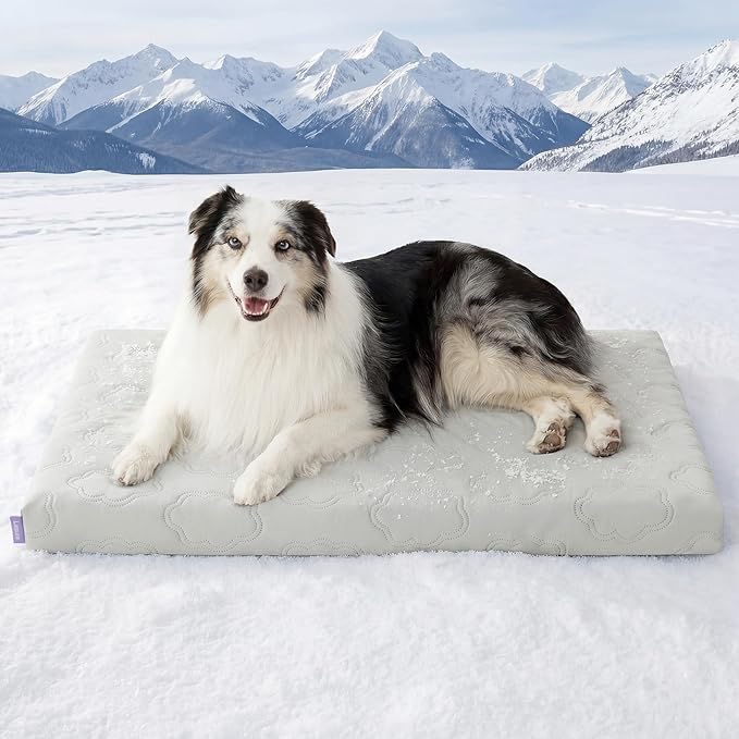 LE SURE Cooling Dog Bed, XL Q-Max>0.5 Cooling Mat with Removable Washable Cover, Breathable Orthopedic Egg Crate Foam Non-Slip Summer Pad for Extra Large Active/Senior/Long-Haired Pets, 41x27 Inch