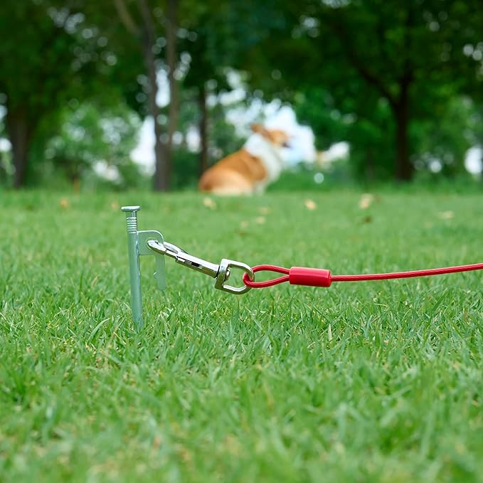 Amazon Basics Tie-Out Cable For Large Dogs, 30 Feet Long, Rust-Resistant, Durable Metal Clips, Up to 125 Pounds, Red