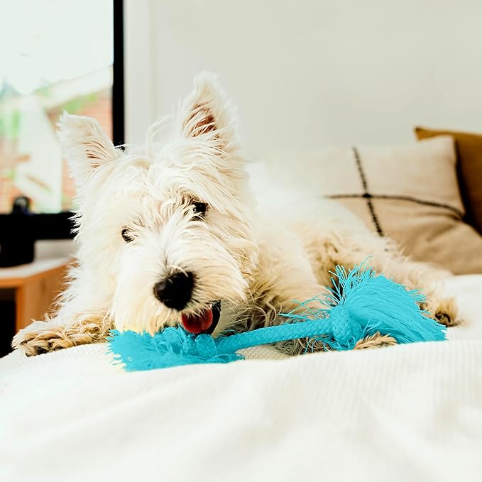 Playology Dog Toys | Dri-Tech Rope Tug of War Dog Toy for Tough Chewers | Peanut Butter Scented Small Tug Rope Toys for Dogs