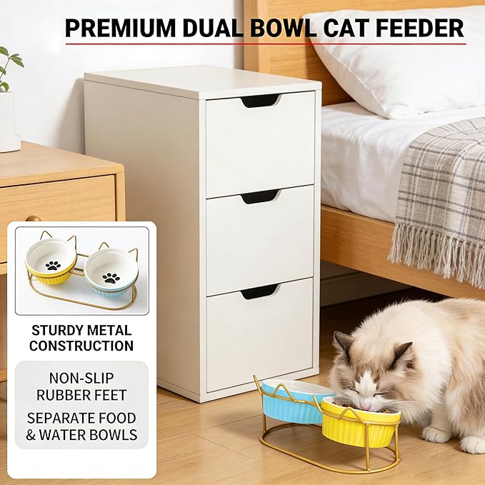 Ceramic Raised Tilted Cat Food Bowls Set - 15° Elevated Cat Food and Water Bowls for Indoor Cats/Kittens, Anti-Vomiting Pet Feeding Bowls (Non-Slip, BPA-Free)