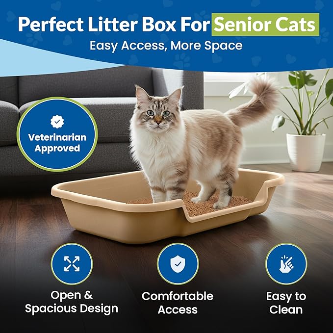 KittyGoHere Senior Cat Litter Box, Large Litter pan with Long-Handle Jumbo Scoop, Open Top Low Entrance Kitty Litter Box, Lightweight Low Entry Litters Box, Durable, Made in USA (2 Pack - Beach Sand)