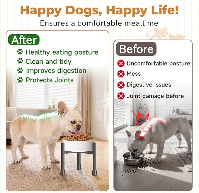 Oppro Single Elevated Dog Bowl Stand for Small Medium Breed, Adjustable Width 6-10in, 10in Tall Non-Slip Metal Raised Puppy Food Feeder Water Holder, Fits Various Size Ceramic Stainless Steel Pet Bowl