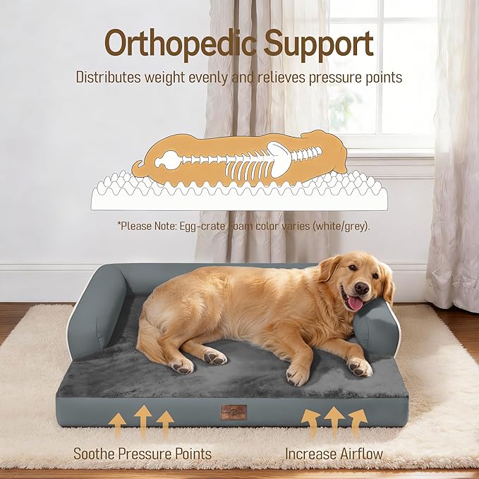 Comfort Expression Memory Foam Large Dog Bed - Waterproof Orthopedic Dog Beds with Washable Removable Cover Pet Sofa Couch, 36 x 27