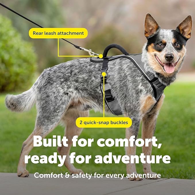 PetSafe EasySport Dog Harness - Padded, Adjustable Dog Harness with Control Handle and Reflective Piping - Great for Active Dogs - from the Makers of the Easy Walk Harness - Medium, Charcoal