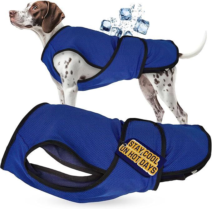 Dog Cooling Vest – Lightweight Jacket for Dogs with Zip Neck & Velcro – Easy On/Off Cooling Coat for Walks, Travel & Outdoors by Lautus Pets - XXL