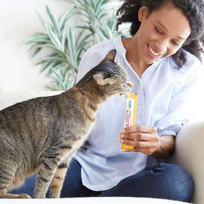 INABA Churu Cat Treats, Lickable, Squeezable Creamy Purée Cat Treat with Green Tea Extract & Taurine, 0.5 Ounces Each Tube, 50 Tubes, Beef & Cheese Variety