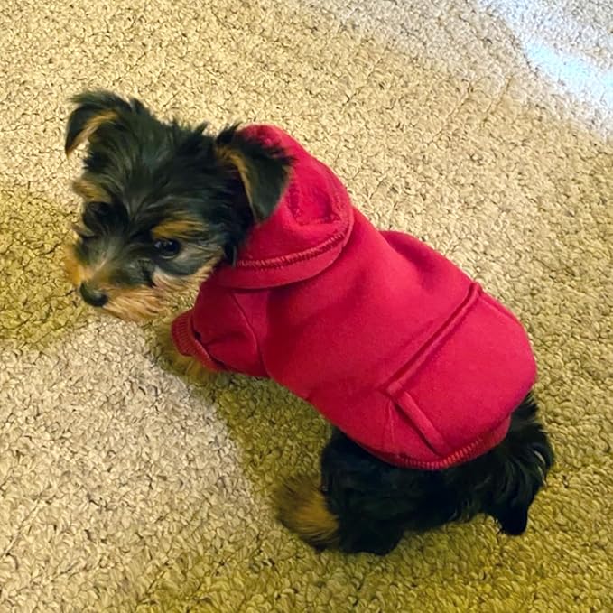 Jecikelon Soft Dog Hoodies for Small Dogs, Fleece Puppy Sweatshirt with Pockets, Warm Winter Cold Weather Coats for Pet Cat, Cute Clothes Puppy Costume (Wine red, Medium)