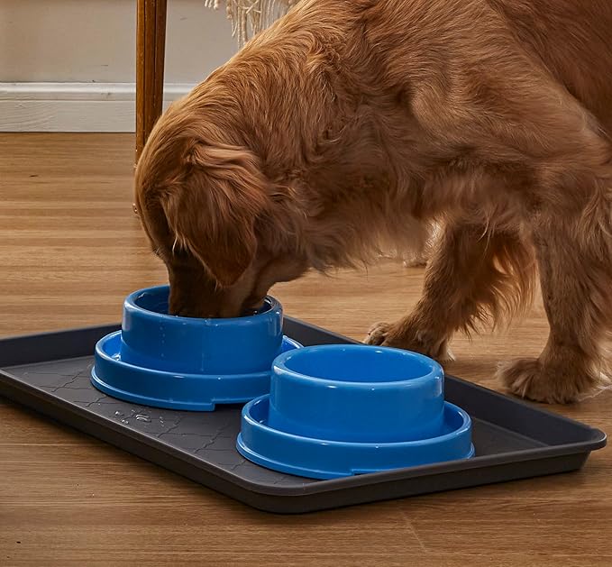 PetLike 2 Pack Ant Proof Dog Cat Bowls, No Spill Pet Food Water Bowls with Moat, Non-Slip Non-Skid Feeder Dishes for Small Medium Dogs and Cats