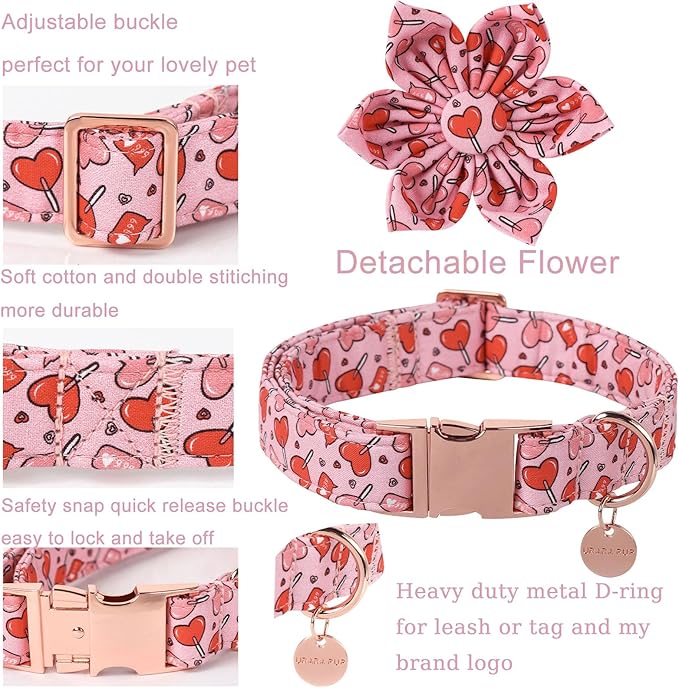 Valentine Dog Collar with Flower, Heart Flower Collar for Puppy Girl Boy Dog or Cat, Comfortable Dog Collar Flower with Durable Metal Buckle, Cute Pet Collar, S, Neck 10-16in