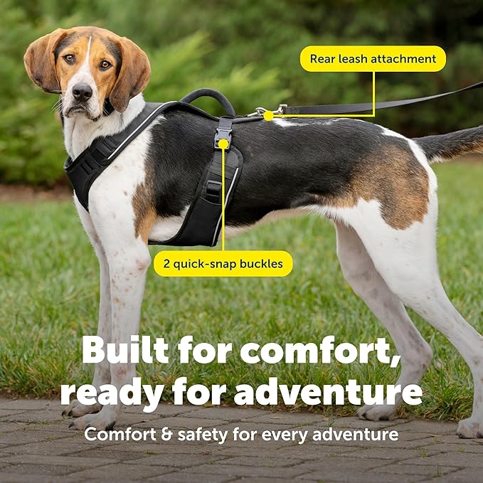PetSafe EasySport Dog Harness Adjustable, Padded Dog Harness with Control Handle and Reflective Piping Large, Black