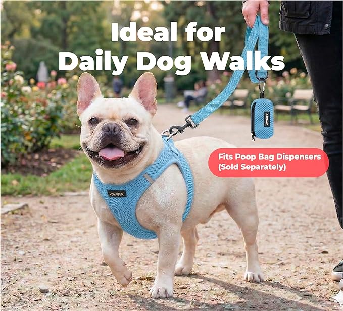Best Pet Supplies Voyager Reflective Dog Leash or Collar with Neoprene Handle, for Small, Medium, and Large Breed Puppies, Cute and Heavy Duty for Walking, Running and Training - Baby Blue (Leash), S