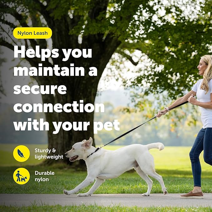 PetSafe Nylon Dog Leash Strong, Durable, Traditional Style Lead with Easy to Use Bolt Snap for Small, Medium and Large Dogs 3/8" x 6', Royal Blue
