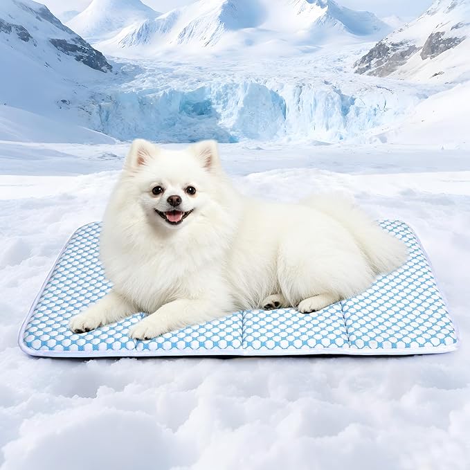 Dog Cooling Mat for Small Dogs - 24x18 Orthopedic Memory Foam Pet Pad for Summer, QMAX>0.5, Washable Premium Comfort Crate Pad for Your Furry Companion, Blue