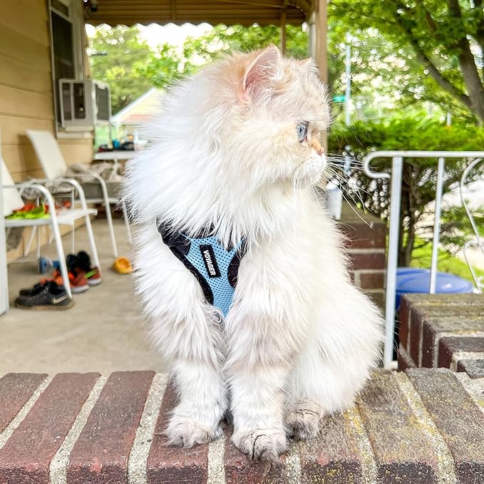 Best Pet Supplies Voyager Step-in Lock Pet Harness w Reflective Pet Leash Combo Set with Neoprene Handle 5ft - Supports Small, Medium and Large Breed Puppies/Cats - Baby Blue/Black Trim Set, M