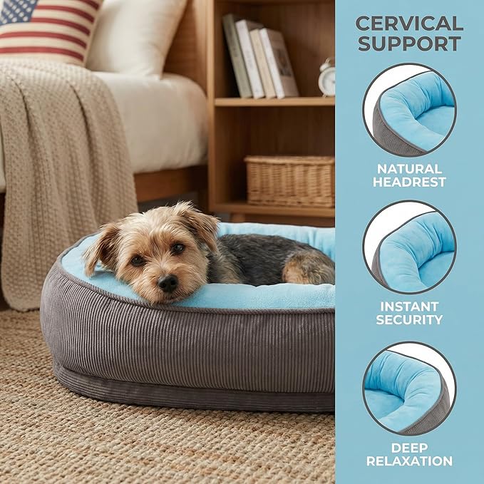 Calming Dog Bed for Medium to Large Dogs 30"x20" - Orthopedic Washable Pet Bed with Anti-Slip Bottom, Indoor Soft Cat Bed with Removable Cover (Sky Blue)
