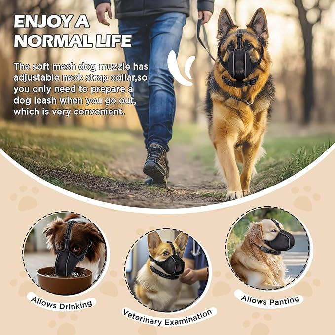 Dog Muzzle - Soft Breathable Mesh Nylon Adjustable Muzzle for Small Medium Large Dogs | Prevents Chewing,Biting & Scavenging | Allows Panting, Drinking & Grooming | Secure Collar Strap Design(Black M)